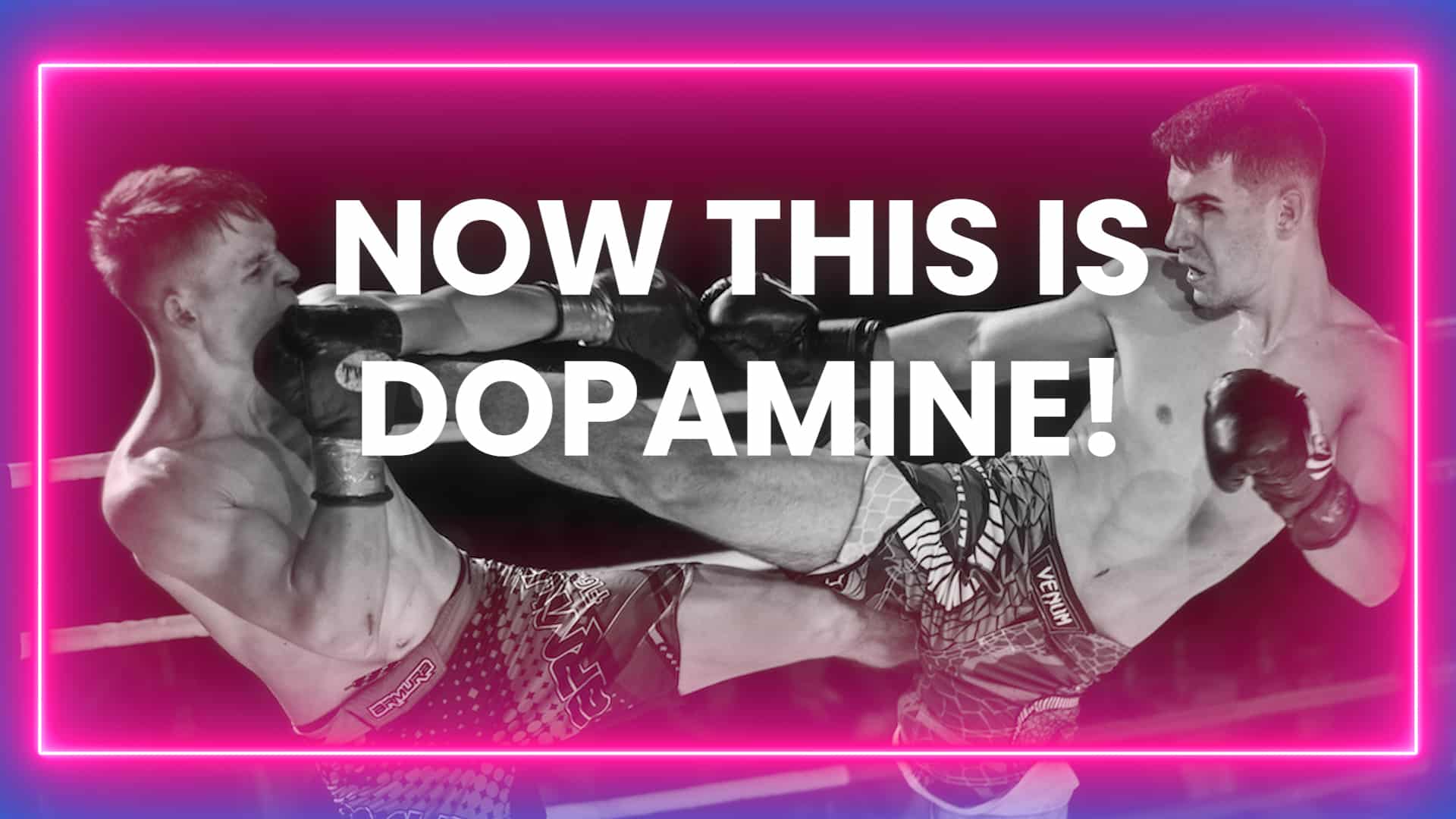Quit Porn Program Healthy Dopamine