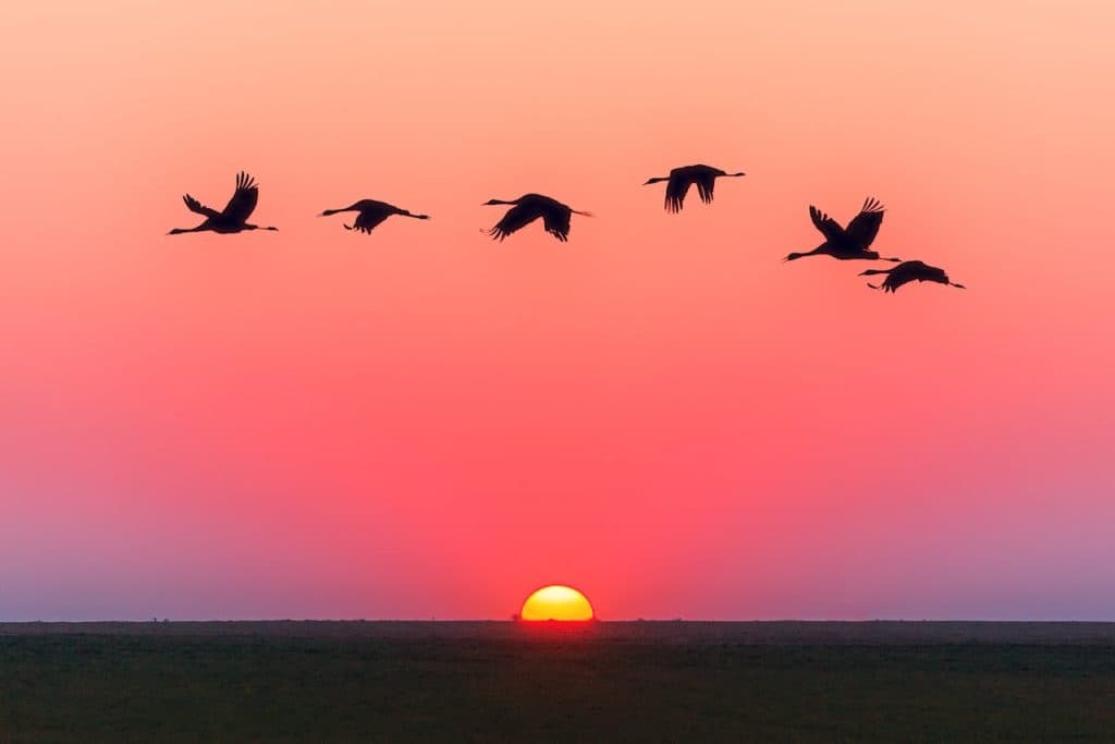 sunrise flight 1024x683