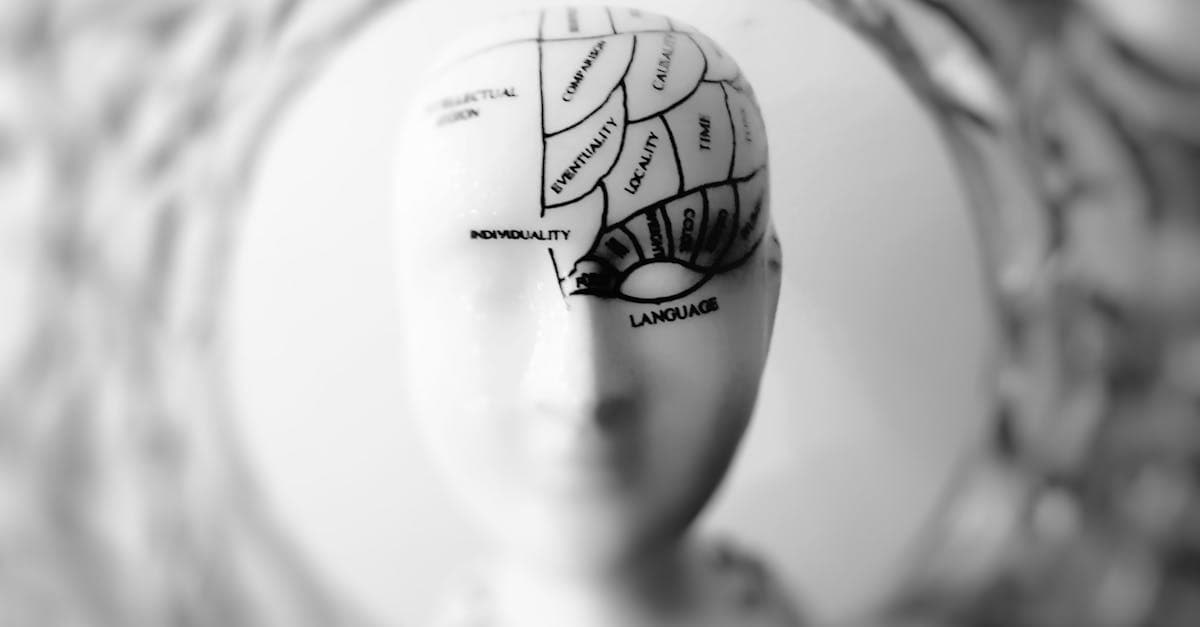 triggers brain neuroscience habit loop 1 1
