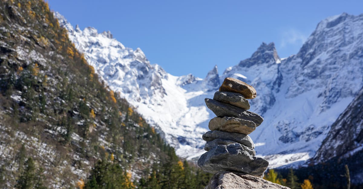A man hiking through a forest trail, representing healthy dopamine activities and natural rewards that support addiction recovery.