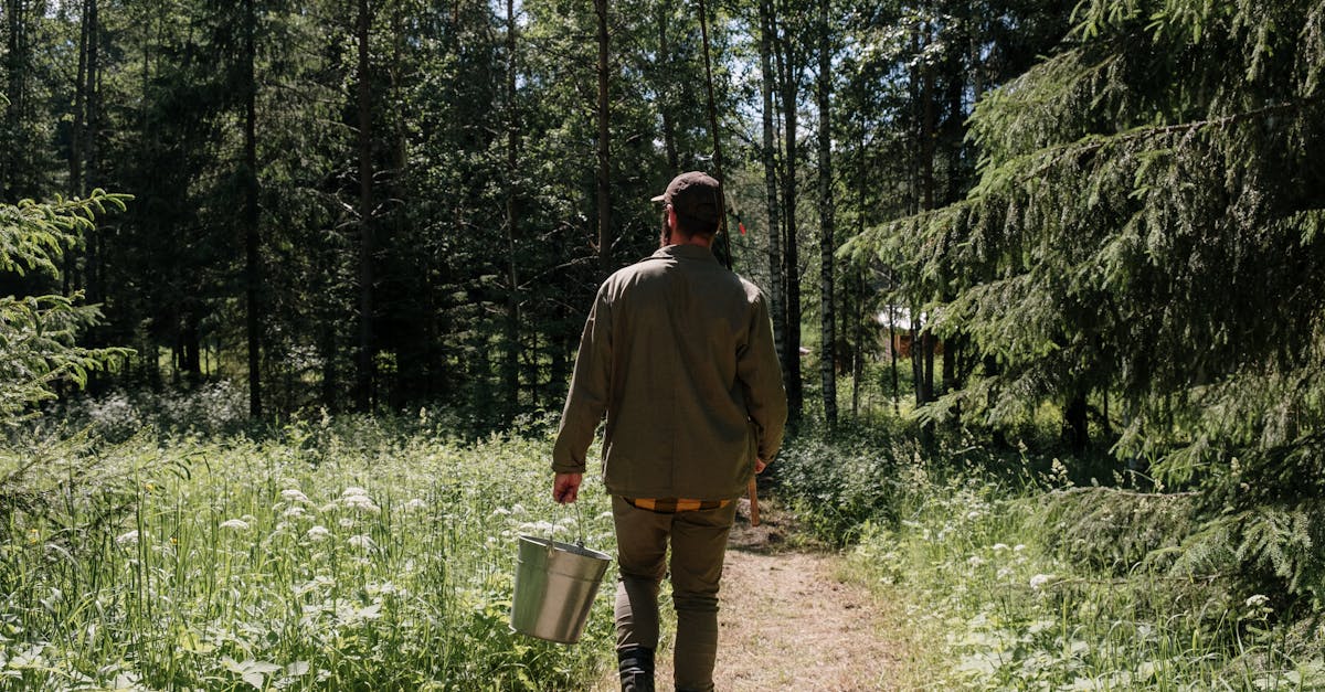 A man walking alone on a peaceful forest path, surrounded by tall trees and natural light filtering through the canopy